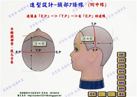 頭部七條基準線中側頭線是